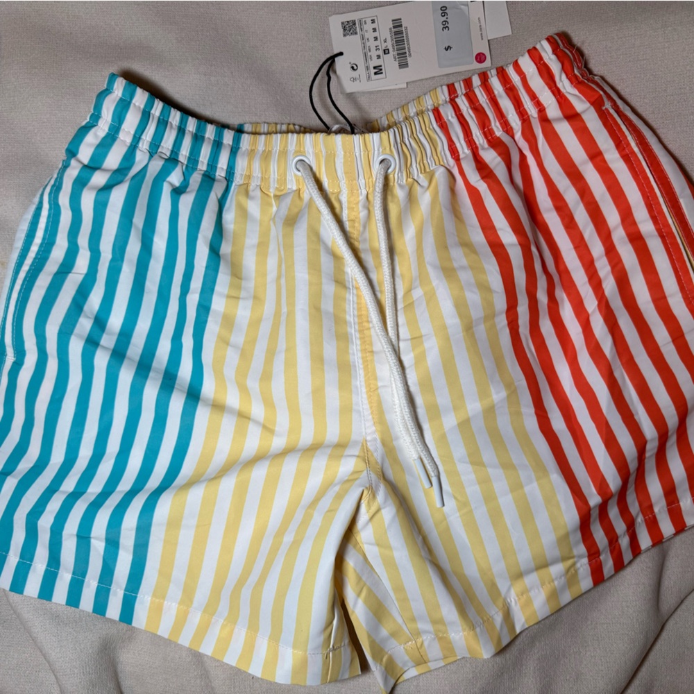 Zara Multicolor Striped Men Shorts